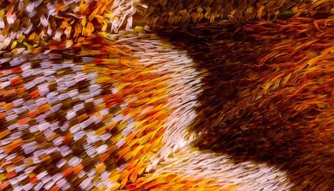 Abstract and Extreme: Close-Up Photographs of Butterfly Wings Made From Thousands of Images