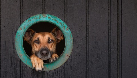Fstoppers Photographer of the Month (December 2018): Elke Vogelsang
