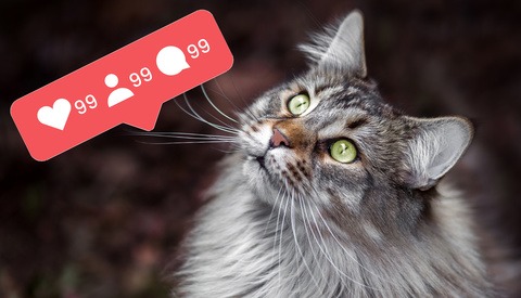 How to Find Your Top Nine Instagram Photos of the Year and Why It's Useful