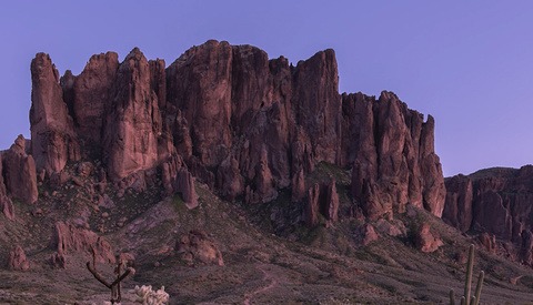 How to Focus Stack to Create Sharper Images