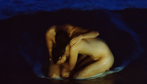 Matthew Leifheit's 'Fire Island Night' Examines the Emotional History of Fire Island