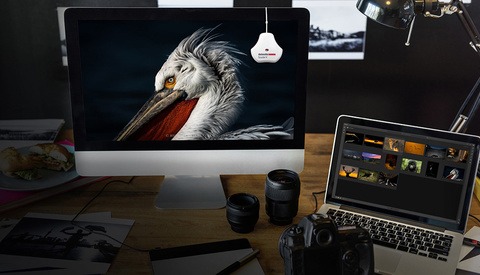 Datacolor Releases Faster, More Accurate SpyderX Monitor Calibration Tool
