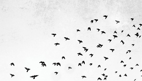 Do You Dare to Bare Your Emotions in Your Photographs?