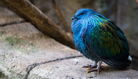 Be Immune to Judgement While Open to Critique With Your Photography