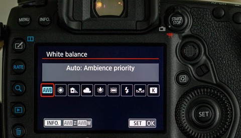 Never Trust Auto White Balance for Your Photography