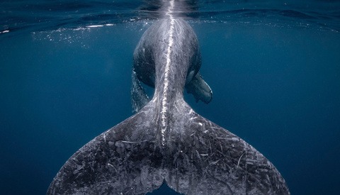 National Geographic Travel Photo Contest Now Open