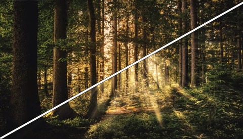 Create Striking Rays of Light Easily in Photoshop