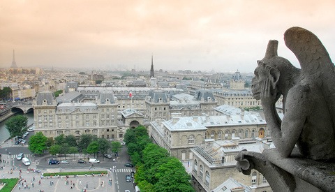 A Tribute To Notre Dame and The Value of Photography