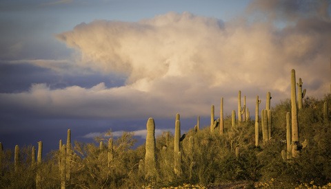 The Stranded Photographer: Making the Most of an Unexpected Stay in Arizona
