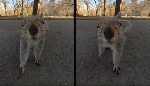 AI Turns Sketches Into Photorealistic Landscapes | Fstoppers