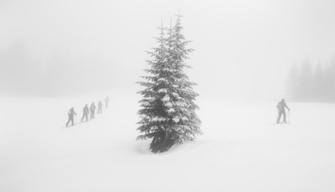 Instagram: The Death of Original Perception and Photographs