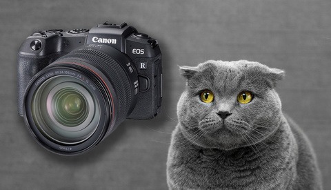 Canon's Dramatic Drop in Sales is a Sign of Something Much More Ominous for Photographers
