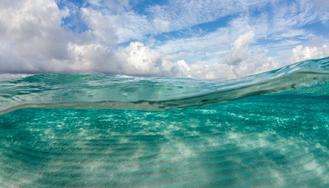Smoothing Out Backscatter with Adobe Lightroom's New Texture Tool