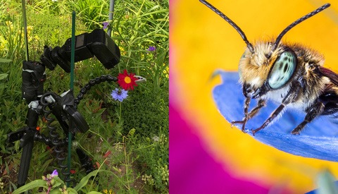 The Macro Photography Rule Book: Think Differently