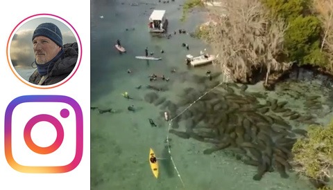 Conservation Photographer Paul Nicklen Spreads a Little Love for the Manatees