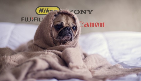 What the Hell Happened to Brand Loyalty?