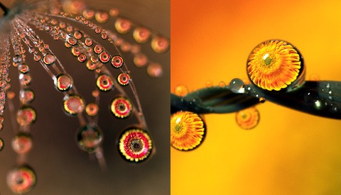 The Mesmerising Results of Shooting Macro Water Droplet Refractions