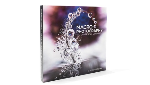 Macro Photography: The Universe at Our Feet