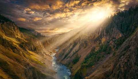 Opportunities You Might Not Realize Are Available on Viewbug