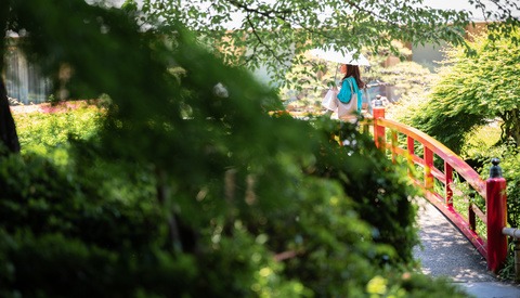 Medium Format in Toyko: My First Foray With Fujifilm