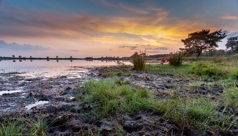 Use an Interesting Foreground for Your Landscape Photo