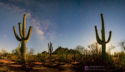 Good Photography Decisions Start With Pre-Visualization