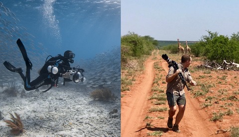 Wildlife and Underwater Photography Webinar With Fstoppers Writers