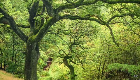 Planning for Autumn Photos