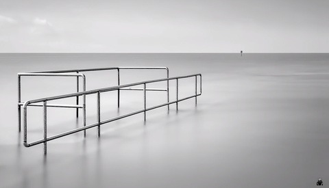 A Complete Guide to Camera Autofocus Modes