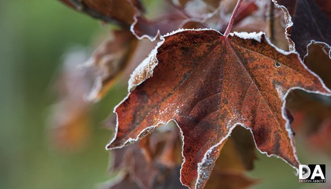 Is an Ultra-High-Resolution Camera Right for You?