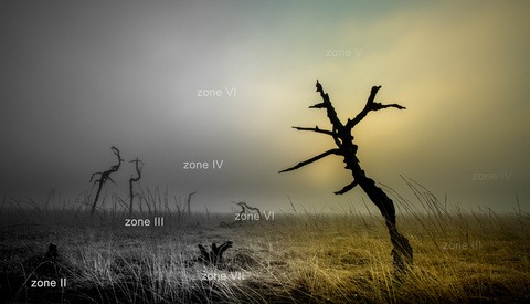 How to Use the Ansel Adams Zone System in the Digital World