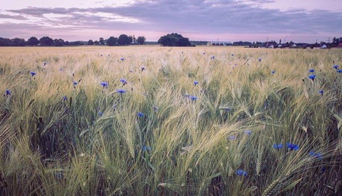 Are Photographers Even Artists?