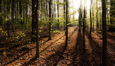 Five Answers to Five Questions About Improving as a Landscape Photographer