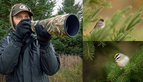 Bird Photography BTS: Planning and Execution Basics