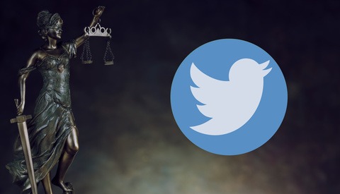 Photographer Who Won Copyright Case Over Embedded Tweets Goes After More Publications
