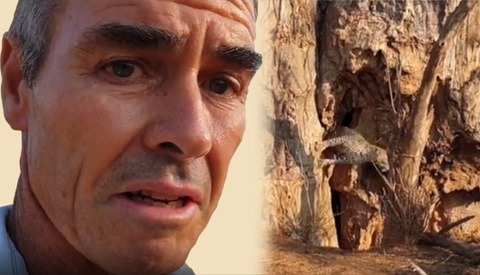 Wildlife Filmmaker Has a Close Call With a Leopard