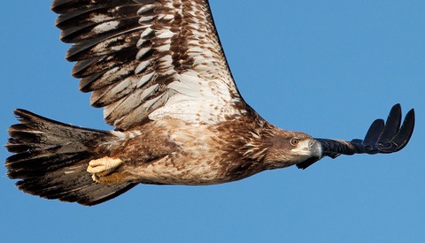 Recovering Noisy and Blurry, Out of Focus Photos Is Possible