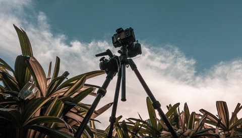 A Review of the Sony a7R IV Based on What Matters to Landscape and Travel Photographers
