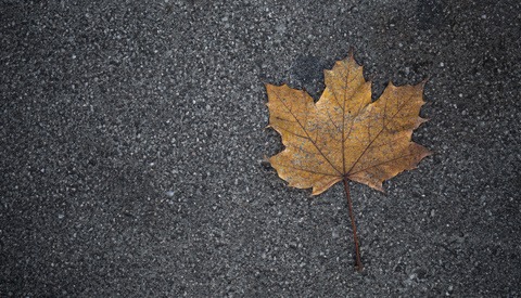 November Is a Good Month to Fill Your Idle Time With Thought