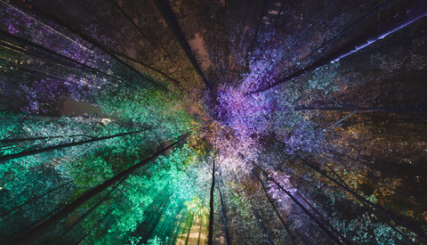 5 Productive New Year’s Resolutions for Photographers in 2020