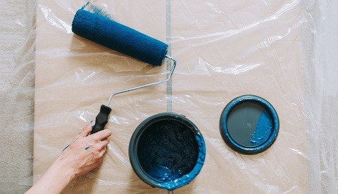 Shutterstock's 2020 Color Trends Report: Which Colors Are Anticipated to Dominate?
