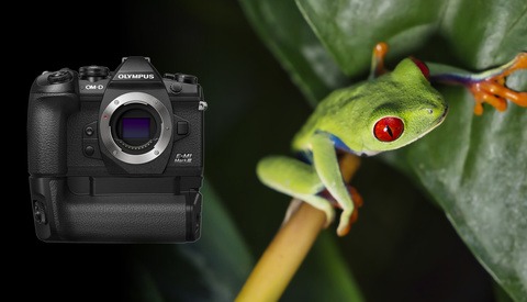 The Ultimate Lightweight Wildlife Camera Fstoppers Reviews Olympus Om D E M1 Mark Iii Fstoppers