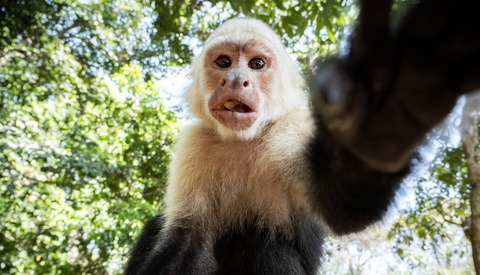 Do You Look Like an Ogre in Video Calls? Me Too. Fix It With Simple Tips From Portraiture