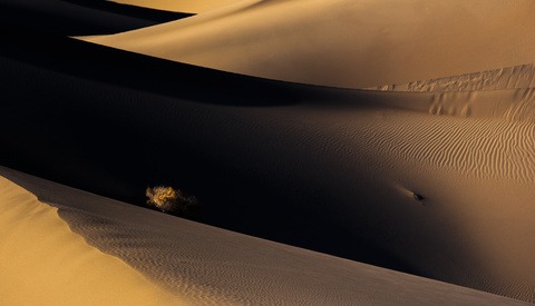 Probably the Three Most Important Things You'll Ever Read About Creativity