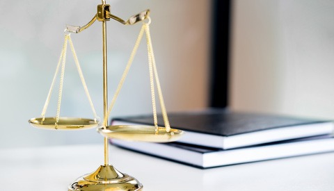 The Supreme Court Rules That States Can't Be Sued for Copyright Infringement in Landmark Case, Free to Use Image as They Wish