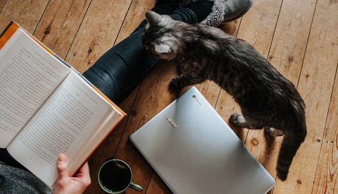 It Is Okay to Not Be Productive During COVID-19 Down Time