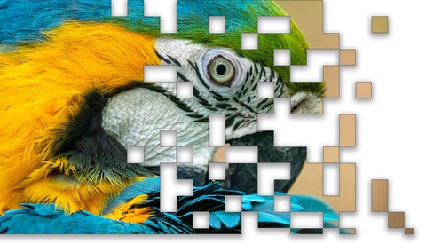 Five Steps to Preserve as Much Information as Possible in Your Images