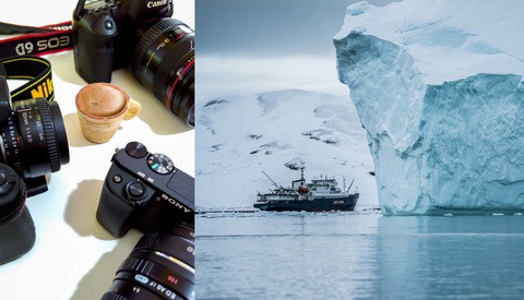 If COVID-19 Causes a Company Like Canon, Nikon, or Sony to Go Bust, How Will You React?