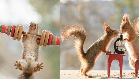 This Photographer Has Spent Over Six Years Capturing Squirrels Doing Human Things