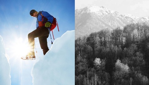 Should Commissioned Work Differ Stylistically From Personal Projects?